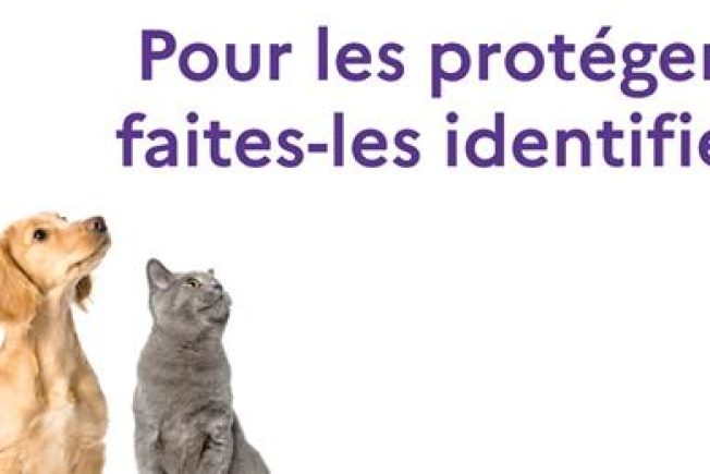 identifier-animaux